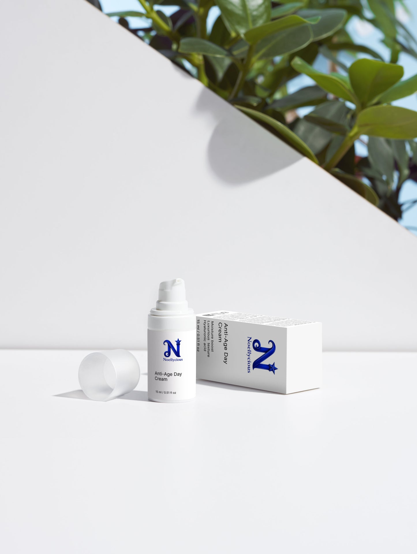 Anti-Age Day Cream